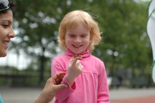 Click for large image